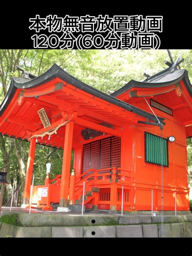 箱根神社・九頭龍神社 縁を結ぶ、箱根の神さま 箱根神社と九頭龍神社は、古くから信仰を集める箱根の名社で、どちらも縁結びや開運、心願成就のご利益があることで知られています。九頭龍神社は箱根神社の末社で、芦ノ湖畔にある本宮と、箱根神社境内にある新宮の2社があり、どちらも同じ神様を祭っています。特に両社をあわせて参拝する「両社参り」は、より大きなご加護があるとされおすすめです。境内に湧く「龍神水」は、心を清めご縁を結ぶと人気の霊水です。 ポイ活や放置動画としてお使いください 長押しして速度を0.5倍速にすると １２０分になります。 lineスタンプも販売中です‼ #放置動画 #放置動画ポイ活 #ポイ活 #60分放置動画 #120分放置動画