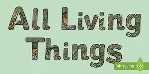 All Living Things  Display Title