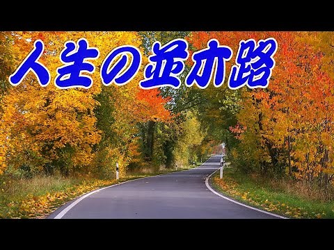 人生の並木路／緑咲香澄