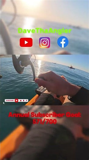 Kayak Fishing New Species: White Sea Bass Caught!