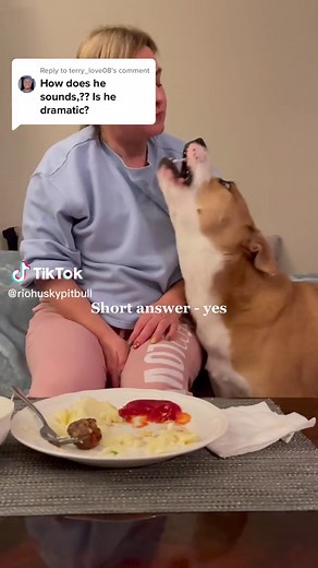 Husky Pit Mix Vocalization: Understanding the Unique Sounds