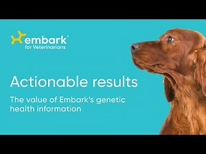 How veterinarians can use canine genetic health test results | Embark for Veterinarians