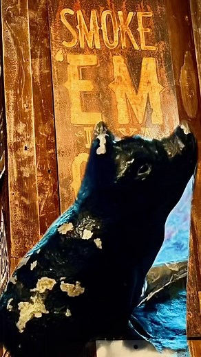 Had lunch at Pecan Lodge in Dallas, TX. BBQ all the way! Ordered the Pitmaster sandwich with brisket, pulled pork, and homemade sausage. OMG, the homemade sausage was the winner by far. Excellent meal! @pecanlodge #bbq #texasbbq #dallastexas #dallasbbq @videolarry #VideoProduction #FilmProduction #VideoMarketing #Videographer #Cinematography #DigitalMarketing #ContentCreation #BrandedContent #VideoAds #FilmIndustry #BehindTheScenes #CommercialProduction #CorporateVideo #PromoVideo #VideoEditing 