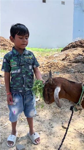 Saari Duniya Jalaa Denge(Extended Full Song) Ranbir K,Anil K,Bobby D|Sandeep|B Praak,Jaani|Bhushan K