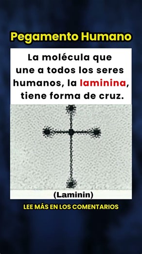 ¡La Molécula que nos Une Tiene Forma de Cruz! 🙏🧬