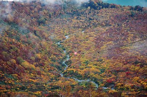私の心に響く歌（16）　川の流れを抱いて眠りたい（時任三郎）