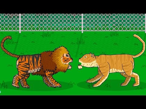 LIGER VS TIGON ANIMATION