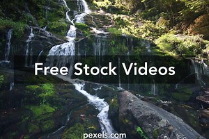 Jungle Waterfall Videos, Download The BEST Free 4k Stock Video Footage & Jungle Waterfall HD Video Clips