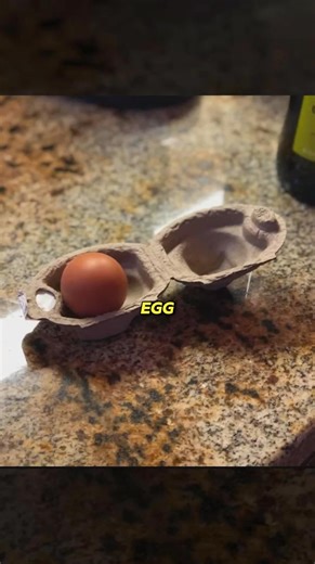 294K views · 4.3K reactions | Bizarre Moments Caught on Camera. #viral #fypageシ | Mypassword Isgoned | Facebook