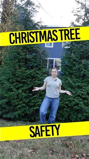 Keep Your Tree Safe! Holiday Fire Safety in under 1 minute
