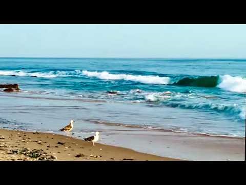 Healing Waves🌊Ocean Sounds for Deep Sleep and Relaxation - Calm Ambience