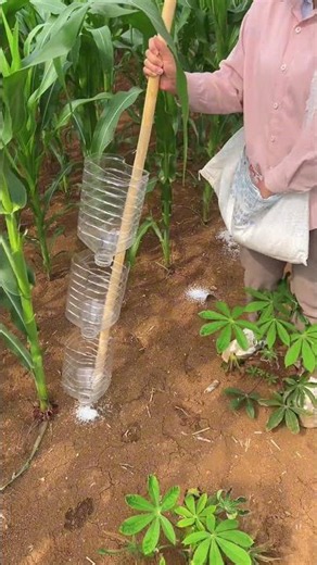 Farming Innovation: Simple Plastic Bottle Fertilizer Applicator #shortsfeed #viral #shorts #facts