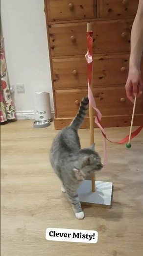 Learning to Maypole Dance