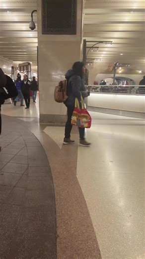 Exploring Grand Central Terminal and Reverse Entropy