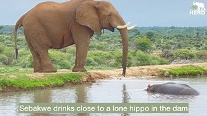 5.8M views · 96K reactions | An out-of-this-world standoff and...