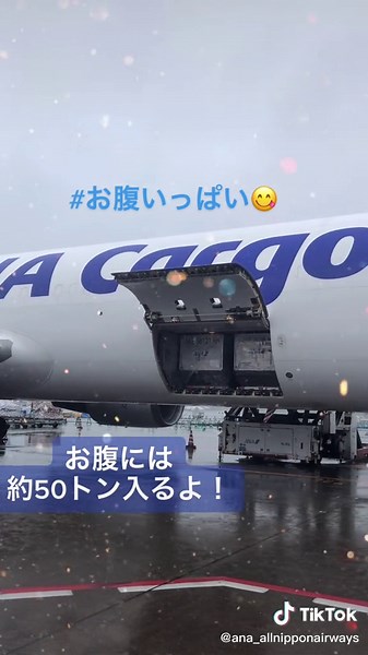 貨物専用機をご紹介💁‍♀️#allnipponairways #ボーイング767フレイター #TikTokはじめました