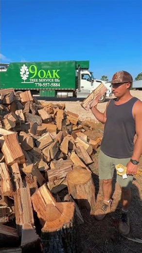 Premium Firewood vs Campfire Mix 🔥 What Would You Choose?