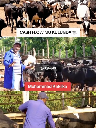 Understanding Cash Flow for Personal Development