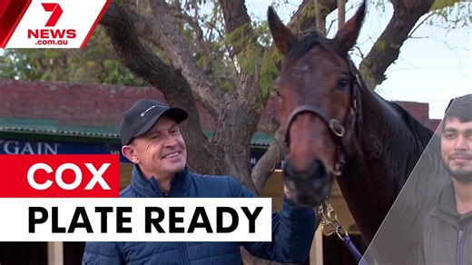 Via Sistina primed for Cox Plate