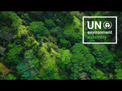 Special dialogue: Indigenous Knowledge Systems, Science, and Practices