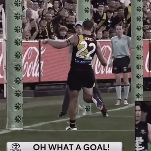 FUNNY AFL TIKTOKS AND VIDEOS on Instagram: "Sammy Lalor!! The future of footy! 🐯🤩 - Follow @afl.tiktoks for more! 😎 - Credit: templex.footy /TT 🎥 - #afl #footy #football #aussierules #aflw #sport #australia #melbourne #aflmemes #westcoasteagles #collingwoodfc #aussie #sports #gopies #aussierulesfootball #brisbanelions #essendonfc #collingwood #westernbulldogs #sydneyswans #mcg #aflfinals #geelongcats #stkildafc #portadelaide #nfl #nrl #collingwoodmagpies #melbourn