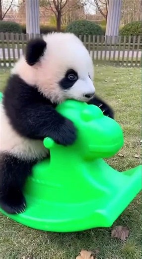Panda’s Cute Toy Horse Adventure | The Sweetest Little Ride Ever!