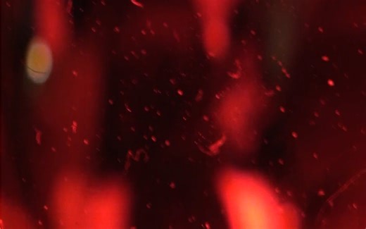 ［情绪摇滚］The Dizzzy 在成都家吧的 emo 现场