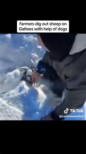 29K views · 206 reactions | Poor Craters  | IRISH STUFF | Facebook