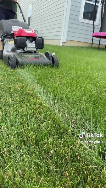 Honda HRN 216: Efficiency in Lawn Care
