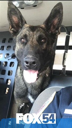 SALUTING BANE | The Decatur Police Department sent a longtime K-9 servant into retirement this week in style. | FOX54 News Huntsville