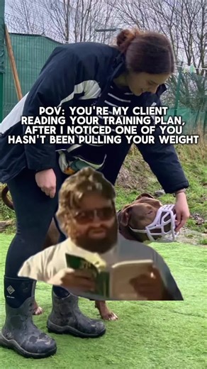 Preventing one argument at a time 🙈 It's not unusual that one partner is left to do the bulk of the training, often creating a lot of tension and arguments, and inconsistency with training adherence. So you better believe if I spot this, we'll be having a chat about the importance of every family member contributing to the training and I'll make sure to note it in your report too 😉