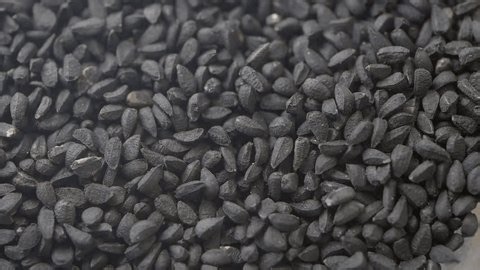clip-3999946103-black-cumin-seeds-falling-slow-motion-macro