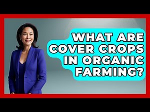What Are Cover Crops In Organic Farming? - The World of Agriculture