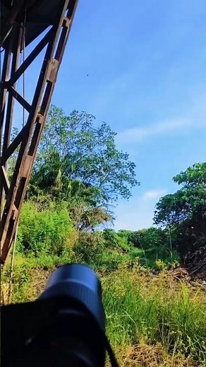 Zoom Test with My Camera 📷 | Beginner Practice #Shorts