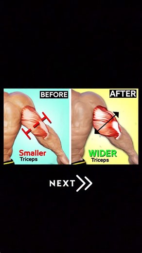 6.6K views · 195 reactions | 5 triceps workout | Fitness Tip | Facebook