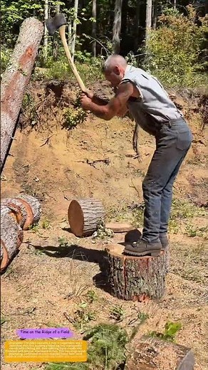 Chop and Split: How One Axe Turns a Felled Tree into Winter Fuel