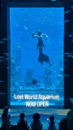 𝑯𝒆𝒂𝒕𝒉𝒆𝒓 𝑴𝒆𝒓𝒎𝒂𝒊𝒅 | LOST WORLD AQUARIUM is finally OPEN inside the iconic @atlantisthepalm in Dubai! 🧜‍♀️🫶 Swim through and say shell~o at one of the 4 live... | Instagram