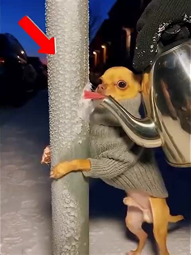 He Let Intrusive Thoughts Win: A Heartbreaking Story