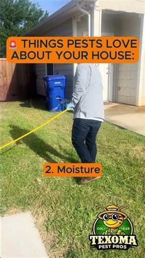 Things Pests Love About Your House