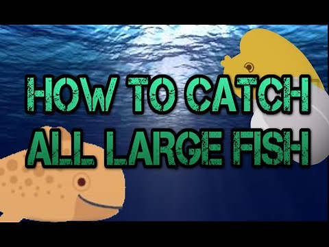 Cat Goes Fishing: How To Catch ALL Large Fish