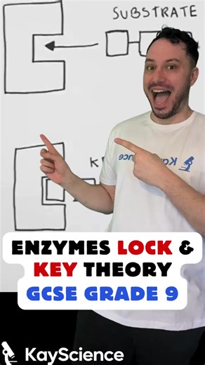 Enzymes & the Lock and Key Theory Explained! 🧬✨ Struggling to understand how enzymes work? In this video, we break down the lock and key theory, showing you exactly how enzymes and substrates fit together to carry out essential reactions in living organisms. 🔍 What you'll learn: ✔️ What enzymes are and why they are biological catalysts ✔️ The lock and key model and how substrates fit into the active site ✔️ The importance of enzyme specificity ✔️ How temperature and pH affect enzyme activity ✔