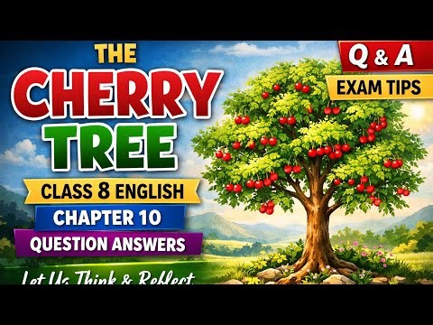 The Cherry Tree 🌱 | Class 8 English Chapter 10 | Question Answers | Let Us Think & Reflect answers