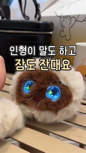고양이 반려인형 🐱