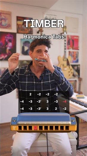 TIMBER - Harmonica Tutorial - E harmonica