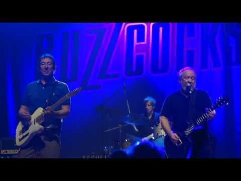The Buzzcocks - Why Can't I Touch It - Live at Webster Hall NYC 2017-06-09