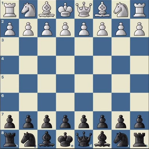 Megan on Instagram: "Scholars mate refuted"