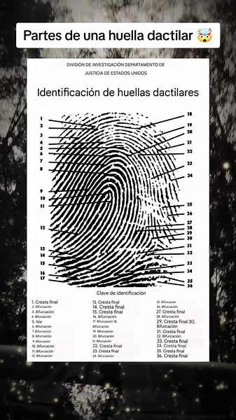 Análisis Forense de Huellas Dactilares