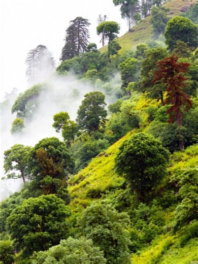 no need to stress over it,, #for #foryou #stress #happiness #staypostive