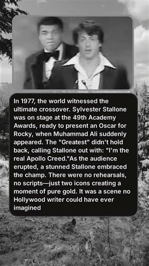 THE OSCAR KNOCKOUT