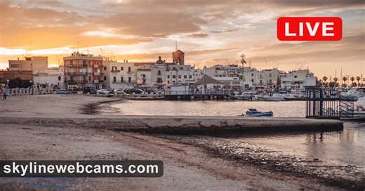 Webcam Porto di Mola di Bari | SkylineWebcams